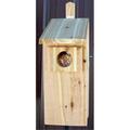 Stovall Wood Screech Owl Box SP6H